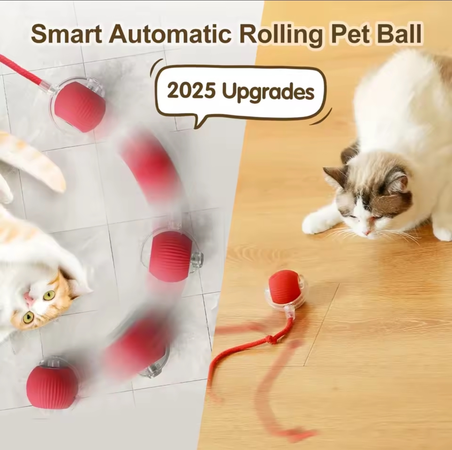 Teaser Cat Ball