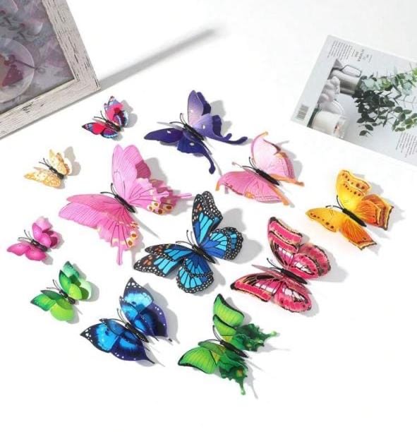 Butterfly 2