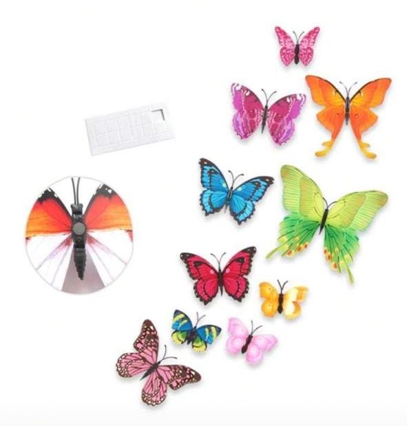 Butterfly 3