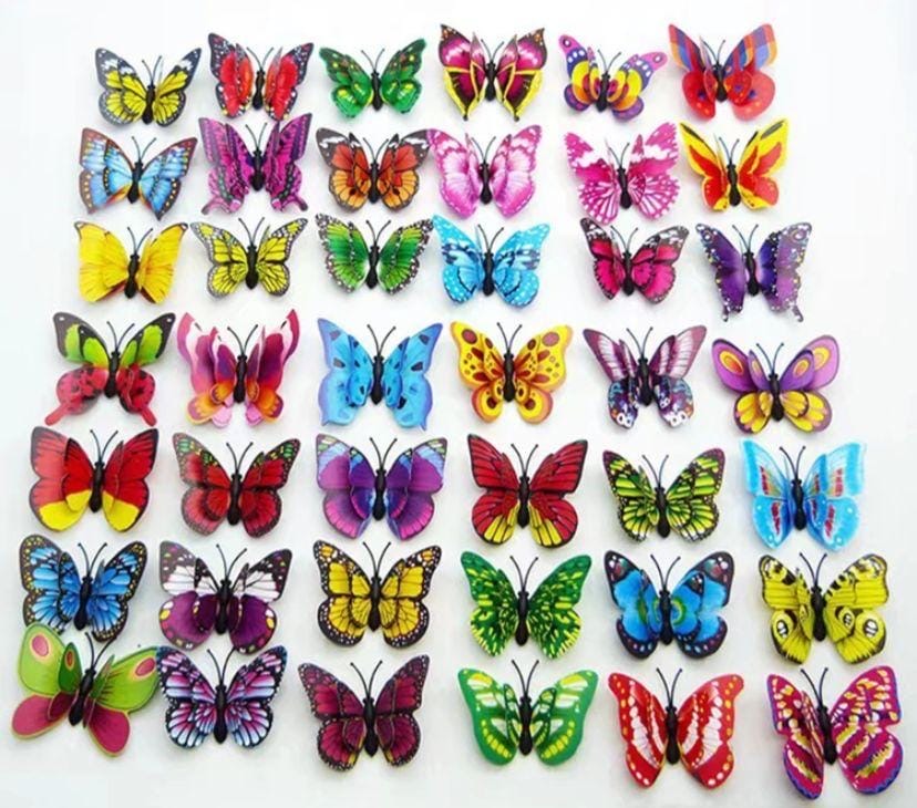Butterfly 4