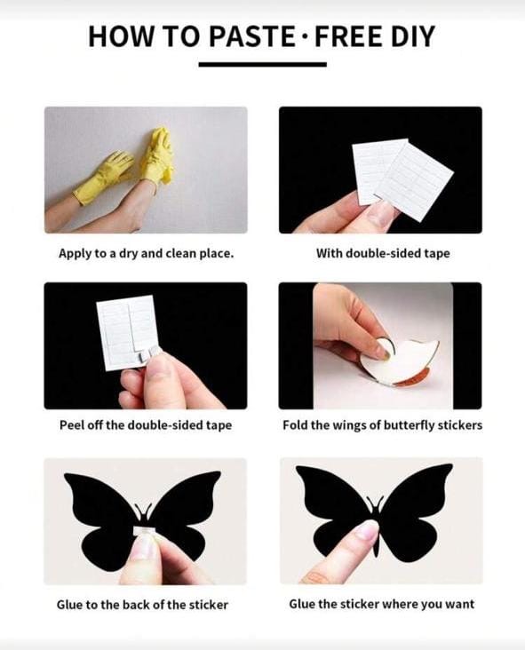 Butterfly 5